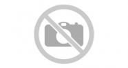 Clover Imaging Remanufactured Black Toner Cartridge for Canon 1250C001 (046)