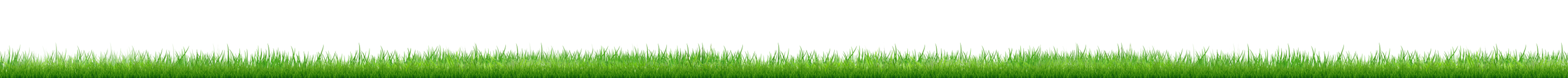 grass